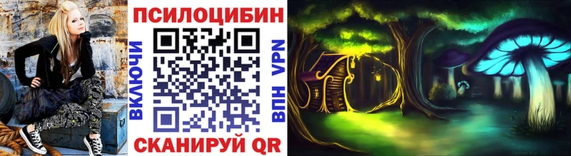 Псилоцибиновые грибы мицелий  купить наркоту  Нальчик 